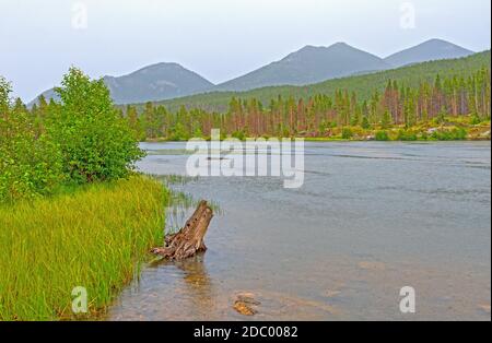 Sprague Lake an einem regnerischen Tag in Rocky Mountain National Parken Sie in Colorado Stockfoto