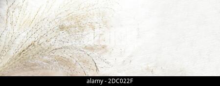 Bouquet von Miscanthus sinensis (chinesisches Silbergras). Panorama-Hintergrund mit Kopierbereich Stockfoto