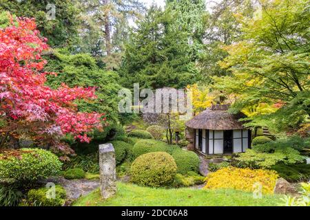 Malerische Ecke des Japanischen Gartens mit Teehaus im Tatton Park, England. Stockfoto