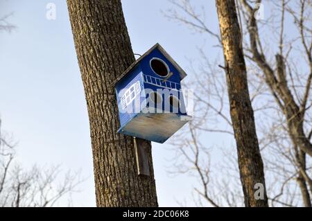 Vogelhaus aus Holz mit bemalten Fenstern und drei Löchern. Es hängt auf dem Baum im Wald auf Himmel Hintergrund. Anfang Frühjahr, Russland Stockfoto