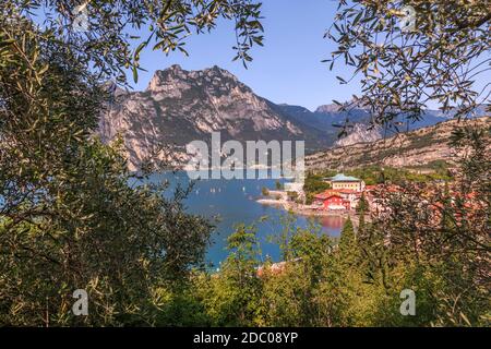 Panoramablick auf den Gardasee und den Hafen von Torbole, Gardasee, Provinz Trient, Italien, Europa Stockfoto