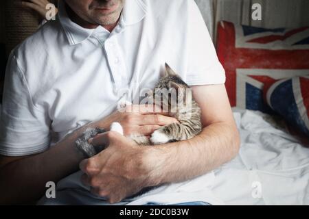 Niedliche tabby Kätzchen in männlichen Händen. Katze ist in den Armen des Mannes. Stockfoto