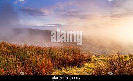 Nebel, Nebel und dramatischer Himmel über einem Moor oder Moor mit Baumstrohhalmen von Gras. Dramatische Landschaft der Wicklow Berge, Irland Stockfoto
