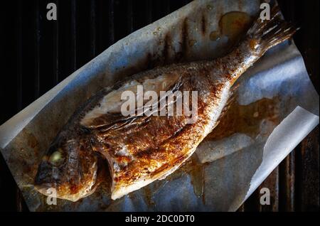 Ganze dorada Fisch Küche in Meeresfrüchte Restaurant Küche auf Grill Pfanne, in flacher Lay-Stil direkt von oben geschossen.Seebarsch Fisch Zum Abendessen gegrillt werden Stockfoto