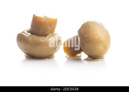 Eingelegte Champignons. Marinierte Pilze isoliert auf weißem Hintergrund. Stockfoto