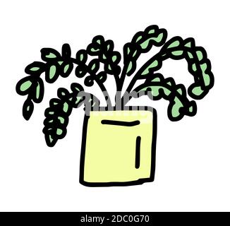 Niedliche Hauspflanze im Topf. Bunte Cartoon botanische im Doodle-Stil. Handgezeichnete Vektorgrafik isoliert auf weißem Hintergrund. Stock Vektor