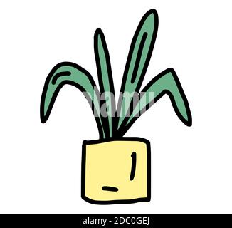 Niedliche Hauspflanze im Topf. Bunte Cartoon botanische im Doodle-Stil. Handgezeichnete Vektorgrafik isoliert auf weißem Hintergrund. Stock Vektor