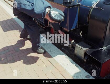 Miniatur-Dampfeisenbahn im Markeaton Park, Derby, East Midlands, England, Großbritannien Stockfoto