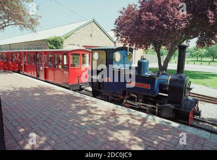 Miniatur-Dampfeisenbahn im Markeaton Park, Derby, East Midlands, England, Großbritannien Stockfoto