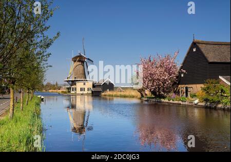 Blick über den Graafstroom zur Windmühle De Vriendschap Im Dorf Bleskensgraaf an einem klaren und knackigen Tag Im Frühling Stockfoto