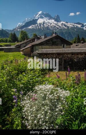 Trelechamp in chamonix in Haute savoie, frankreich Stockfoto