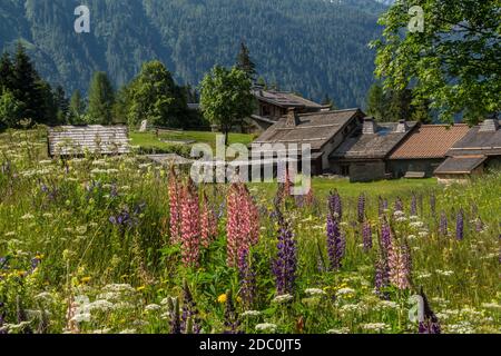 Trelechamp in chamonix in Haute savoie, frankreich Stockfoto