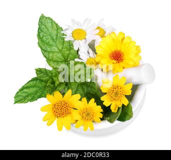 Arnika, Kamille und Ringelblume in einem Mörser Stockfoto