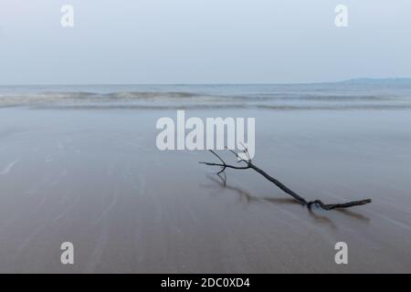 Lange Sicht auf den Strand von Aksa mit seidig glattem Wasser und einem Holzzweig im Vordergrund. Der Strand von Aksa liegt an der Küste von Arabian Stockfoto