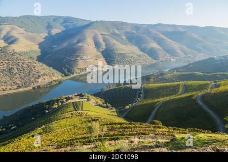 Landschaftlich reizvolle Aussicht auf das Douro-Tal und den Fluss mit terrassenförmig angelegten Weinbergen in der Nähe des Dorfes Tua, Portugal Stockfoto