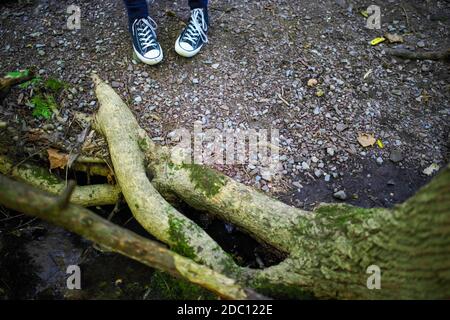 Füße mit Sneakers haben eine unfreundliche Haltung vor Baum Mit Moos blockiert den Wanderweg.ul stonnen Stockfoto