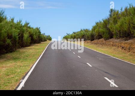 Straße auf der Spitze der Insel Graciosa, Azoren, Portugal. Stockfoto