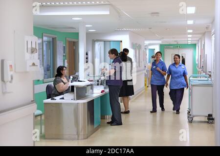 Moderne britische Krankenstation - Empfangstresen. Eine Krankenschwester spricht mit der Empfangsdame, während zwei andere Krankenschwestern vorbei gehen. Zwei Ärzte im Hintergrund im Gespräch. Stockfoto