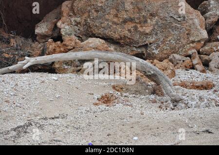 Abstrakte rote Klippe am kroatischen Strand, Holz aus der Adria. Strand Hintergrund. Abstrakt verwitterte Felsen am Sandstrand. Stockfoto