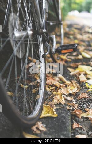 Stadtfahrrad auf einem Bürgersteig mit heruntergefallenen Blättern geparkt. Fahrradrad im Vintage-Stil. Teil der alten städtischen Fahrrad Rad. Foto im Retro-Stil. Flache Abt Stockfoto