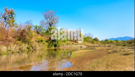 Flusswald und Fluss, Feuchtgebiete, Royal Bardia National Park, Bardiya National Park, Nepal, Asien Stockfoto