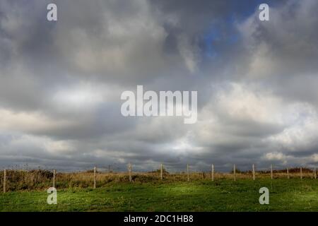 Land, Wiesen und Felder an der Opalküste. Higth-Qualität Foto Stockfoto