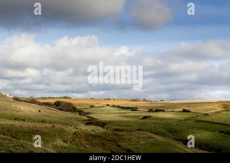 Land, Wiesen und Felder an der Opalküste. Higth-Qualität Foto Stockfoto