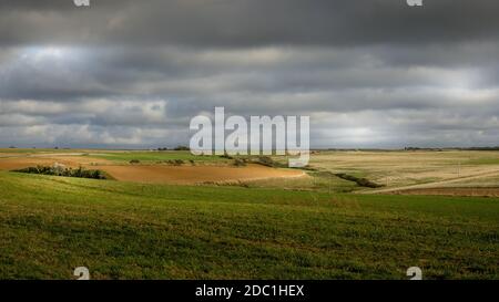 Land, Wiesen und Felder an der Opalküste. Higth-Qualität Foto Stockfoto