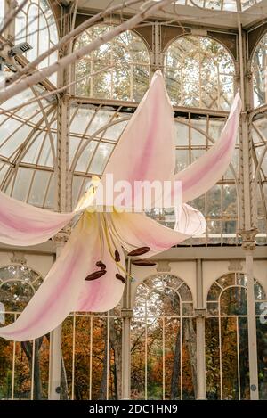 Madrid, Spanien - 24. Oktober 2020: Palacio de Cristal oder Glaspalast im Buen Retiro Park im Herbst. Innenansicht Stockfoto