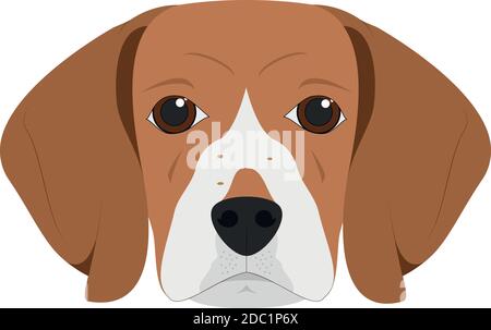 Beagle Hund isoliert auf weißem Hintergrund Vektor-Illustration Stock Vektor