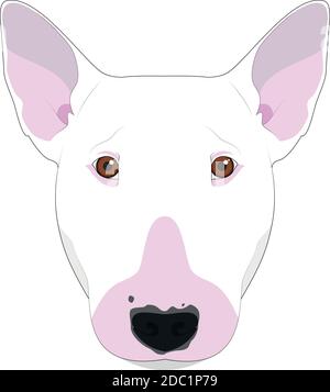 Bull Terrier Hund isoliert auf weißem Hintergrund Vektor-Illustration Stock Vektor