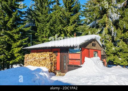 Winter mit Schnee im Riesengebirge, Tschechien. Stockfoto