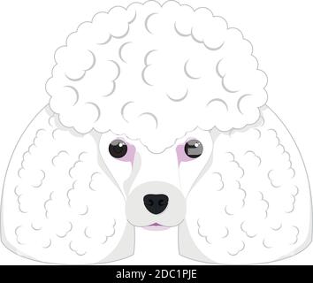 Pudel Hund isoliert auf weißem Hintergrund Vektor-Illustration Stock Vektor