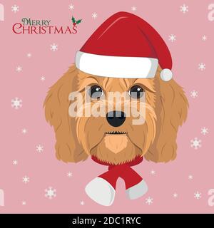Weihnachtskarte. Cavoodle Hund mit rotem Santa´s Hut und einem Wollschal für den Winter Stock Vektor