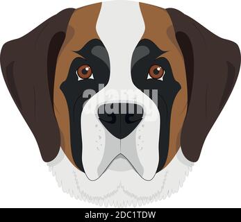 Saint Bernard Hund isoliert auf weißem Hintergrund Vektor-Illustration Stock Vektor