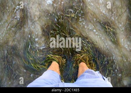 Wellen und Algen waschen sich um die Füße am Sandstrand Stockfoto