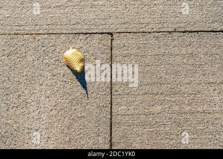 Fallenes gelbes Blatt auf dem grauen Boden liegend. Ein gefallenes Blatt, die Schwelle des Herbstes. Stockfoto