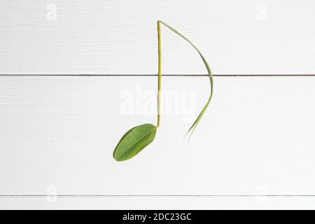 Musikalische Noten mit Blättern auf einem weißen Holz platziert gemacht Oberfläche Stockfoto