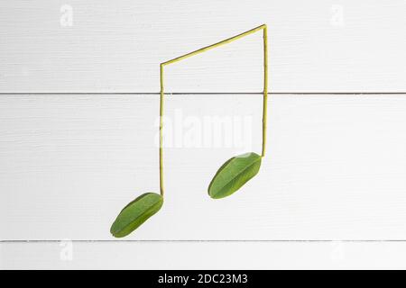 Musikalische Noten mit Blättern auf einem weißen Holz platziert gemacht Oberfläche Stockfoto