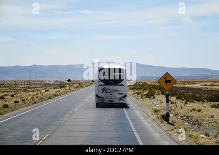 Touristenbus auf landschaftlich reizvoller Straße im Andenhochland, umgeben von vulkanischen Bergen. Neben der Straße ist ein Schild Warnung für Alpakas und Lama Stockfoto