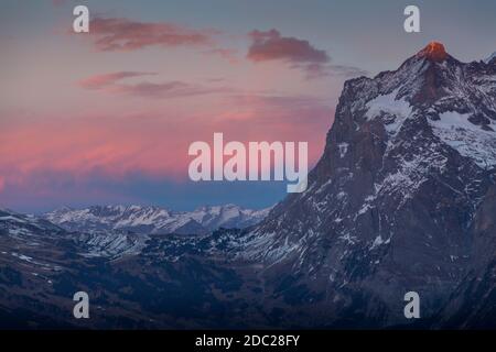 Das Wetterhorn aus kleine Scheidegg, Jungfrau Region, Berner Oberland, Schweizer Alpen, Schweiz, Europa Stockfoto