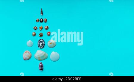 Weihnachtshintergrund mit einem Weihnachtsbaum aus Muscheln auf einem blauen Hintergrund mit Kopierraum. Tropisches Weihnachts- und Neujahrskonzept. Minimalistisch Stockfoto