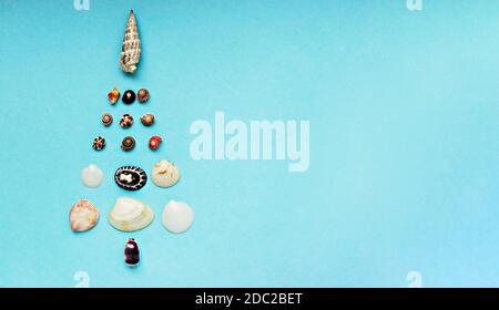 Weihnachtshintergrund mit einem Weihnachtsbaum aus Muscheln auf einem blauen Hintergrund mit Kopierraum. Tropisches Weihnachts- und Neujahrskonzept. Minimalistisch Stockfoto