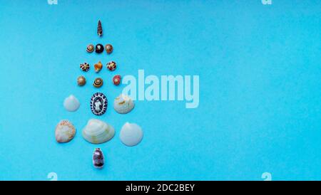 Weihnachtshintergrund mit einem Weihnachtsbaum aus Muscheln auf einem blauen Hintergrund mit Kopierraum. Tropisches Weihnachts- und Neujahrskonzept. Minimalistisch Stockfoto