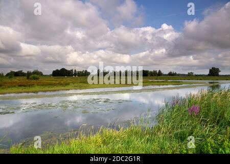 Gat van Den Kleinen HIL ist ein Bach in der Holländischer Nationalpark de Biesbosch in der Nähe des Dorfes Werkendam Stockfoto