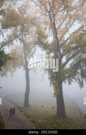 Spaziergänger am Rheinufer im Stadtteil Deutz, nebliger Herbsttag, Köln, Deutschland. Spaziergaenger an der Deutzer Werft, nebeliger Herbsttag Stockfoto