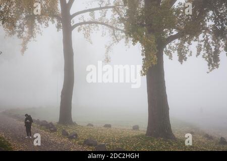 Spaziergänger am Rheinufer im Stadtteil Deutz, nebliger Herbsttag, Köln, Deutschland. Spaziergaenger an der Deutzer Werft, nebeliger Herbsttag Stockfoto