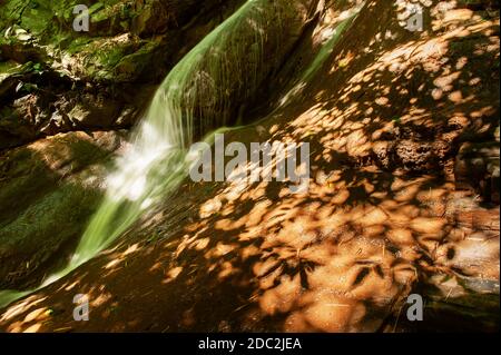 Abstrakter Wasserfall unter dem Schatten der wilden Bäume im sonnigen Sommer, Kunstform des Schattens der Blätter und Äste Malerei auf Steinen und Wasseroberfläche. Stockfoto