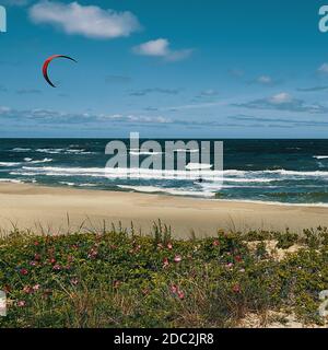 Kite Surfer im Meer auf den Wellen mit einem roten Segel gegen einen blau bewölkten Himmel. Im Vordergrund ist ein Sandstrand mit schönen Blumen. Stockfoto