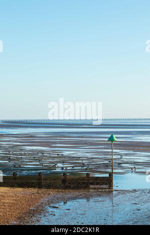 Brent Gänse Fütterung bei Low Tide am East Beach bei Schuberkeit mit dem Kalten Krieg Verteidigungsboom im Hintergrund Stockfoto